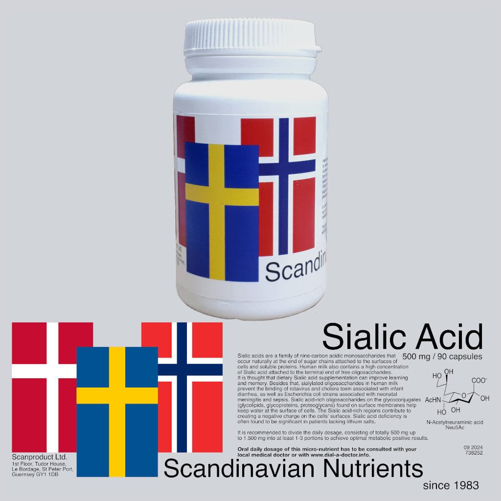 Sialic Acid - 500mg - 90 Capsules